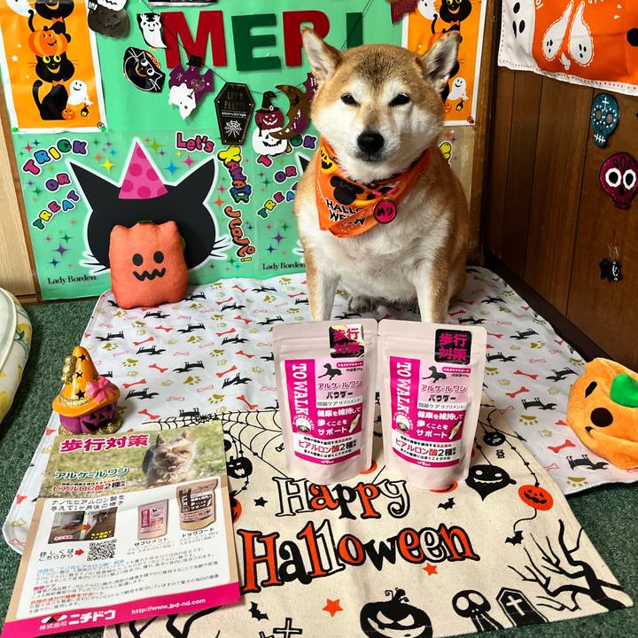 1be915e0 fd0a 4b06 b566 87149edf16ab 1665120632602