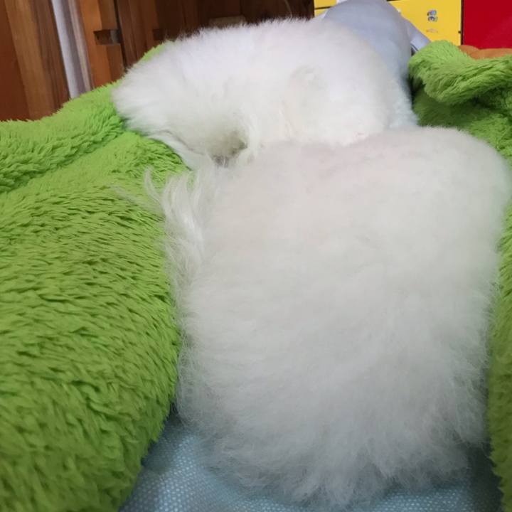 1be94c69 3bb0 4029 ab93 44935257e26a 1597994983734