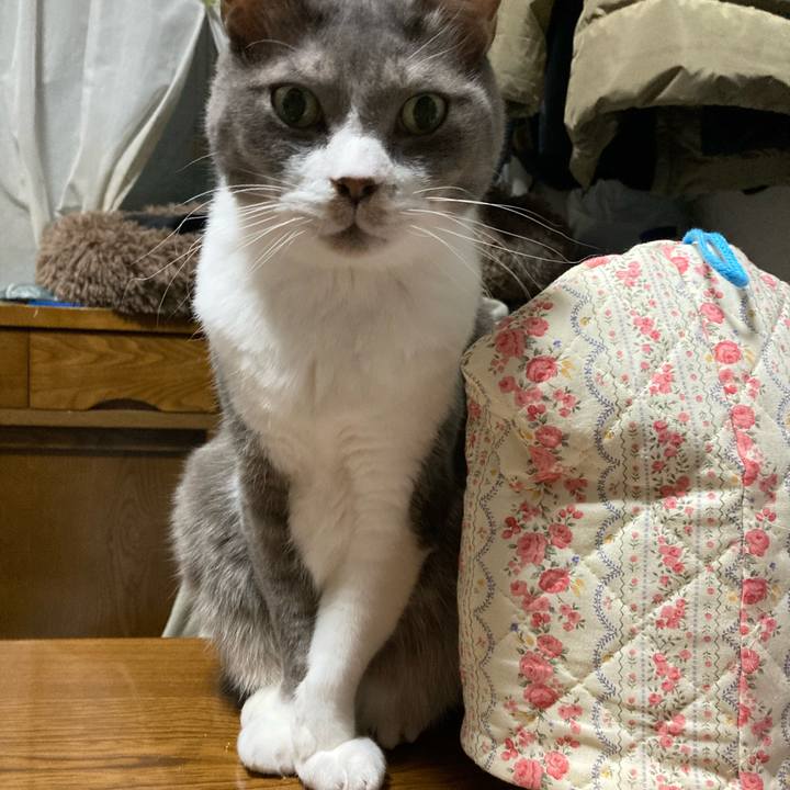 1be995c1 3f4d 4f69 a85f 6eec151e7d0b 1701954269591