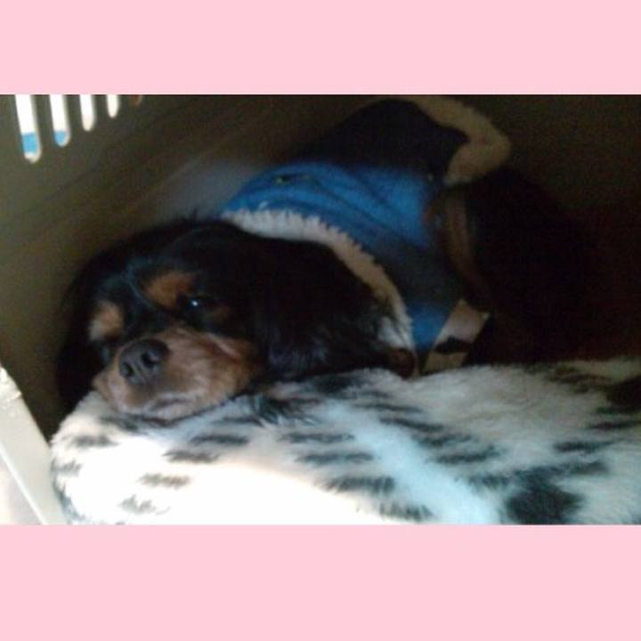 1be9a87e e148 401d bf58 760db7854294 1512721831860