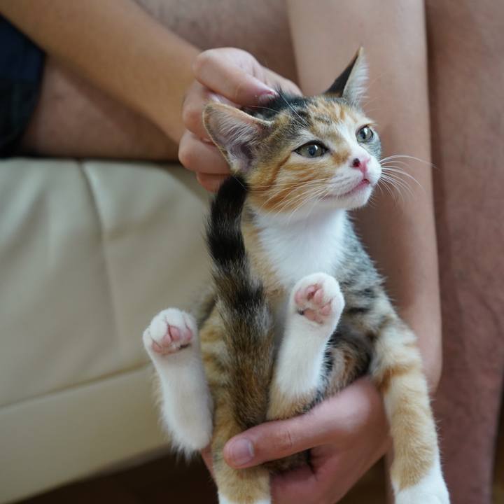 1be9b01e 1f1e 4d82 8aee b22cbd533340 1569900448017