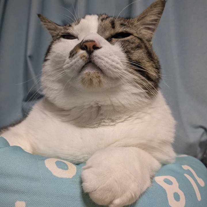 1be9b5d0 4c6c 4eed ada3 85cc6f182379 1766060247140