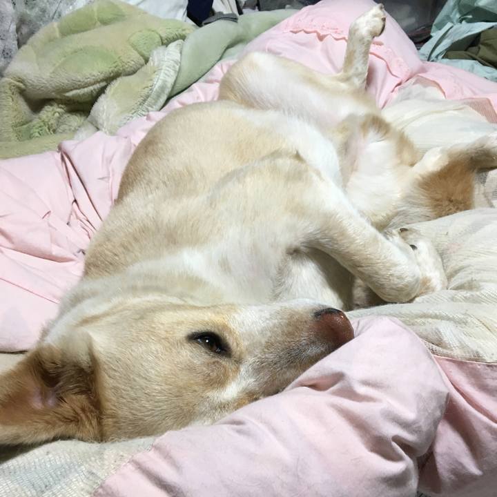 1be9e248 190e 436a a744 5c9b6f90bb28 1521457994656