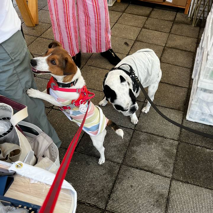 1be9e5dc 7d29 42cf 9c4b b631186579b0 1748784004183