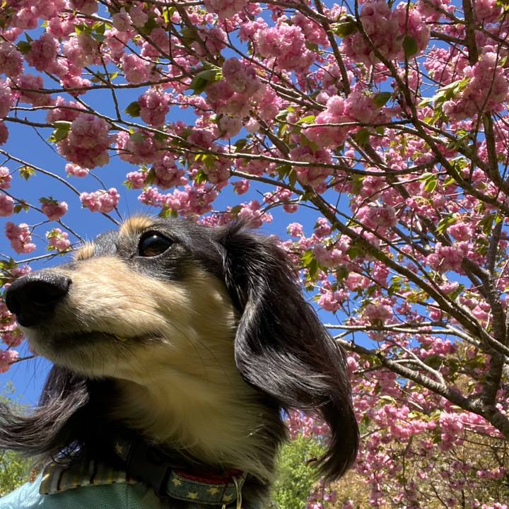 1bea7967 01c6 4410 b1fb 4b777689c8a7 1744781692402