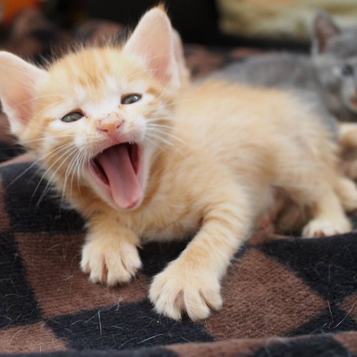 1bea7cf9 ddb0 4bdf 9476 9196a3fd3c15 1569924989322