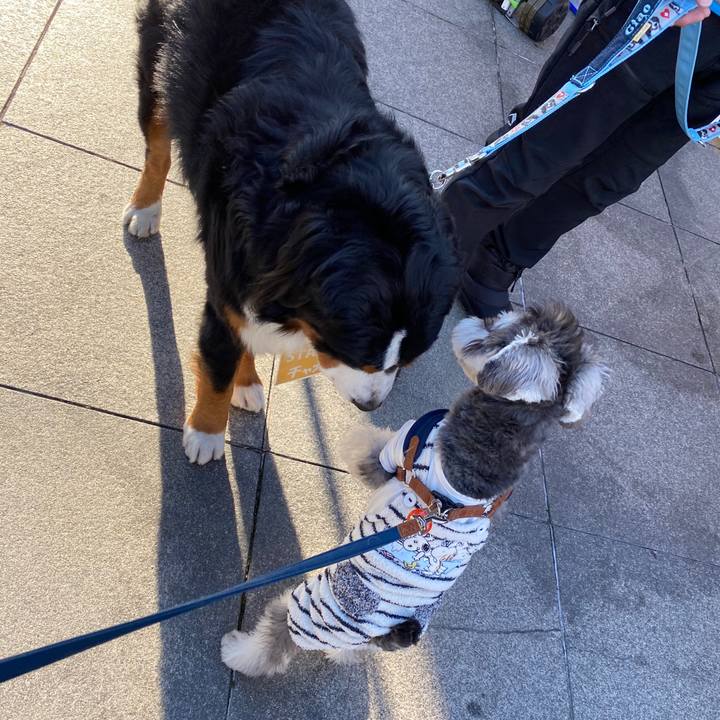 1bea9077 c866 4fe4 be7f cfa81a2fd07f 1575211065048