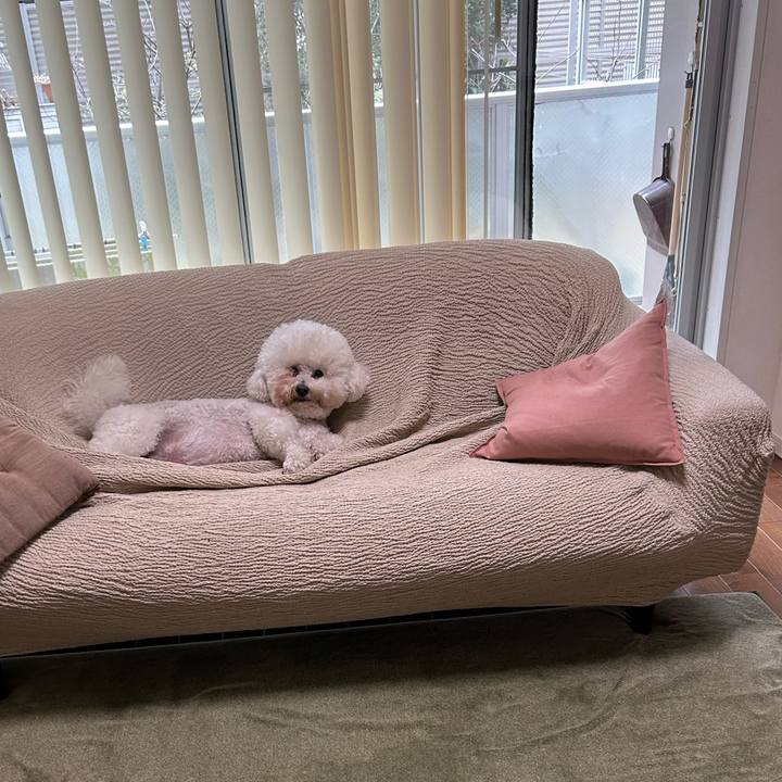 1bea95d5 0c0b 427d a81e bf5e99db4a2d 1772080788948