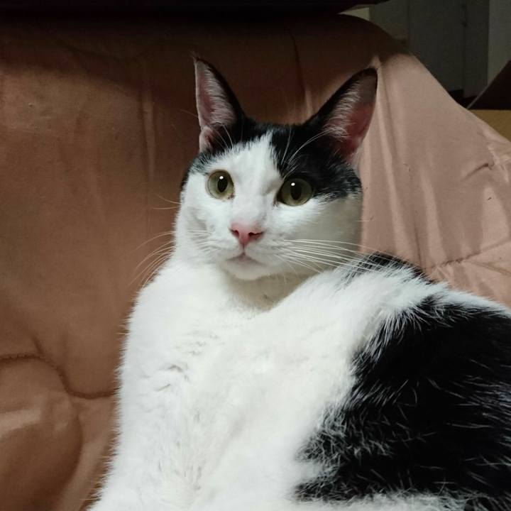 1beafaad 0e58 48e4 9def 5e0836aa4c6f 1517138982716