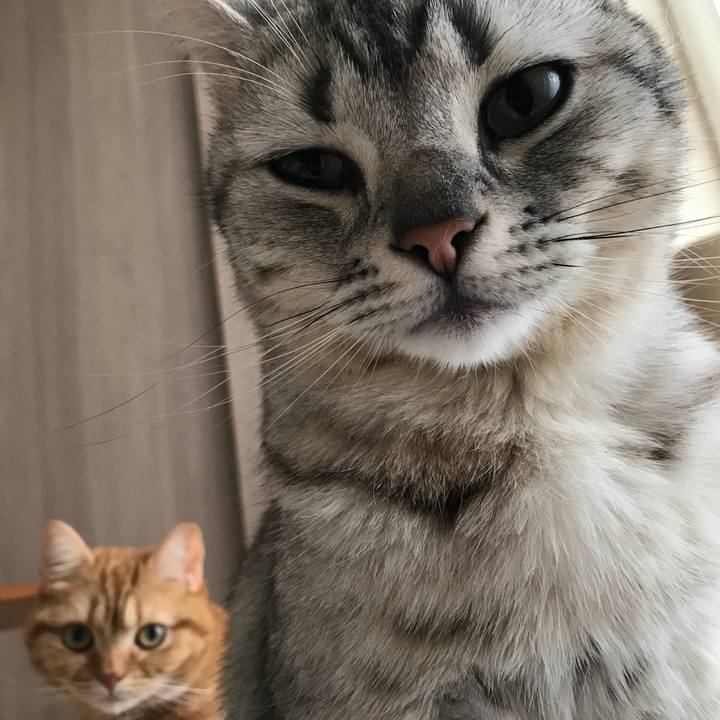 1beb0593 5c52 4ad6 a606 bb22ab489a64 1524775822468