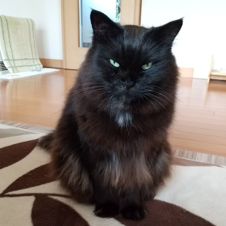 1beb1f40 eed6 46c2 abe6 846c3ef65d03 1618717947687