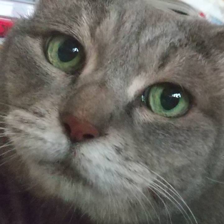 1beb50f3 738b 41af ae6e aa092a471675 1627346590116