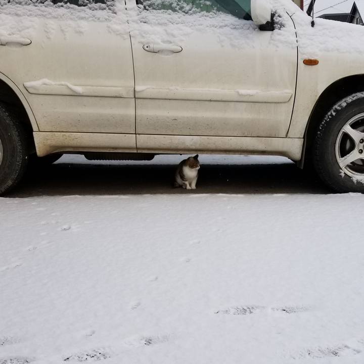 1beb80ee 7ef2 403a b828 bd7be4f1114d 1606916286017