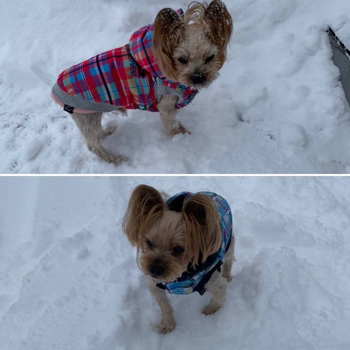 1bec165c 98a5 43c6 8485 9f2abb578126 1640933635372