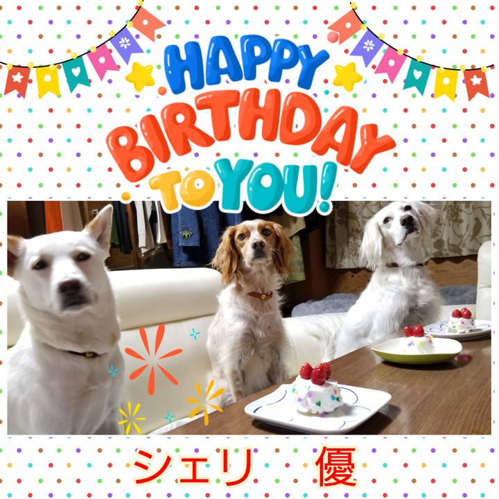 1bec4d8f dd0c 4657 ac22 af5443419e51 1615117755060