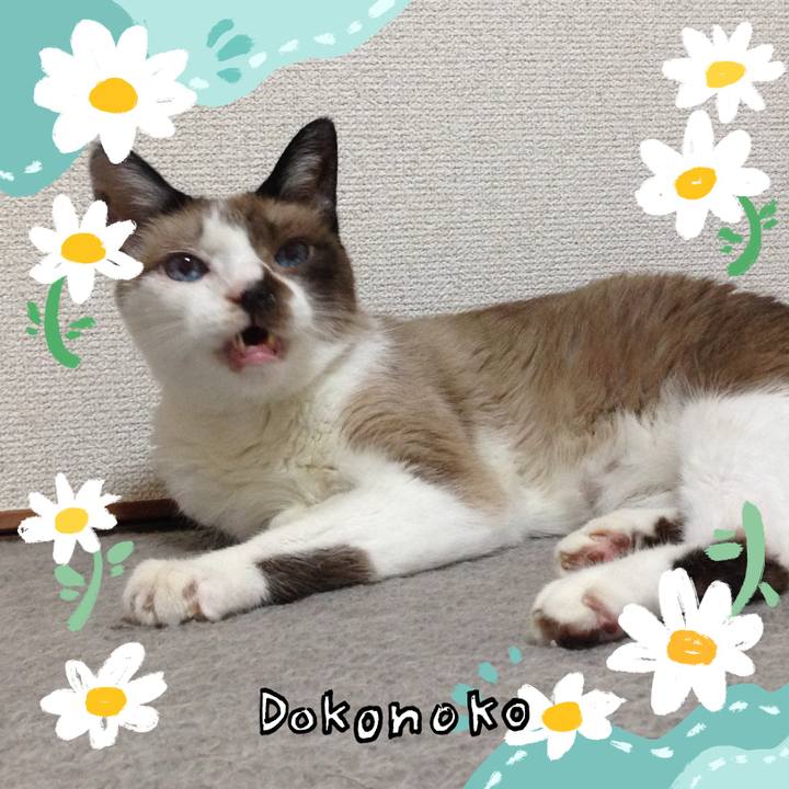 1bec6175 0184 4008 b8ec 4bf6c030316e 1712359375651