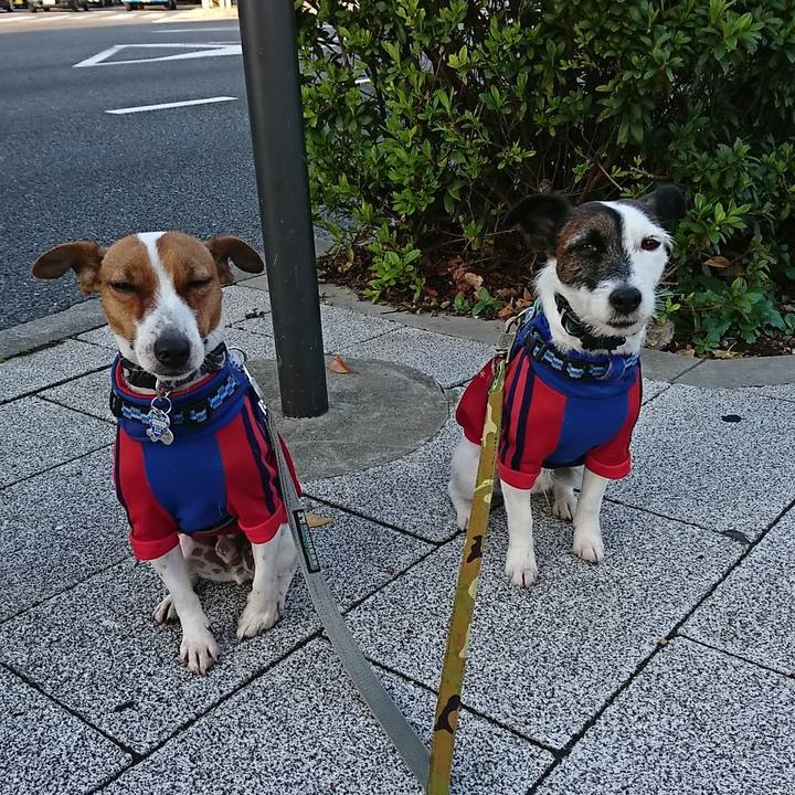 1becaa5f acd2 4b02 af2c 74204732c358 1543359384560