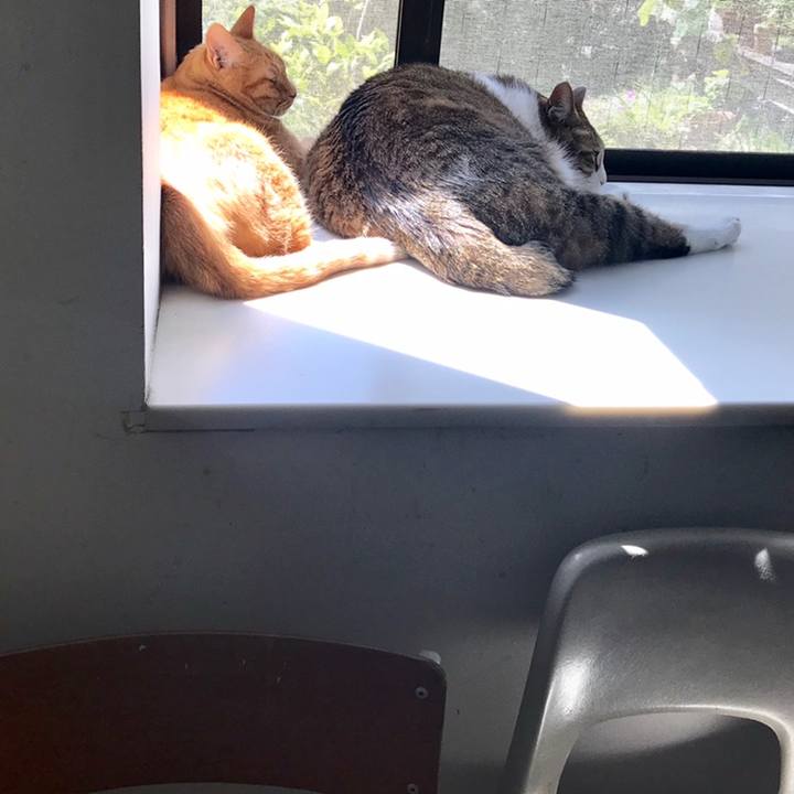 1becabe0 8ee7 487e ad3b 37d9bf1b458d 1558661707465