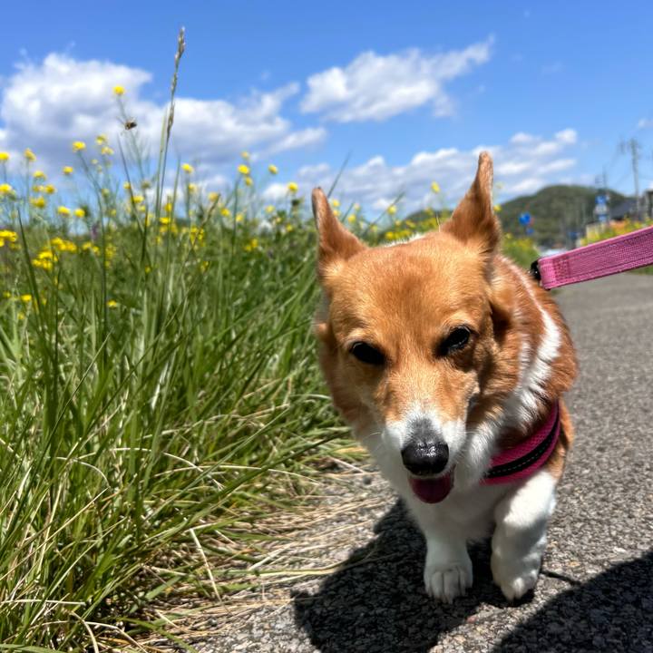 1becb5e7 5461 42e0 a06a 4ea0420d733c 1744775331761