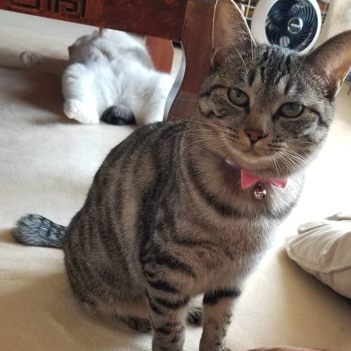 1beccf41 b9de 4999 9b3f d4d1fdb36645 1687819719883