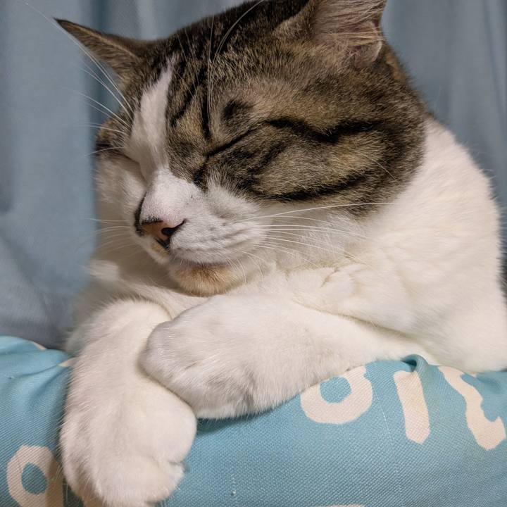 1bed0c9a e882 418a 93ac 8ec6273f212e 1760612765337