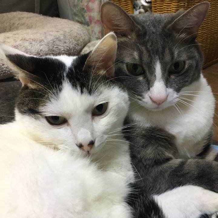 1bed50a8 52f3 4121 b41c 5413627a6aa6 1603197994054