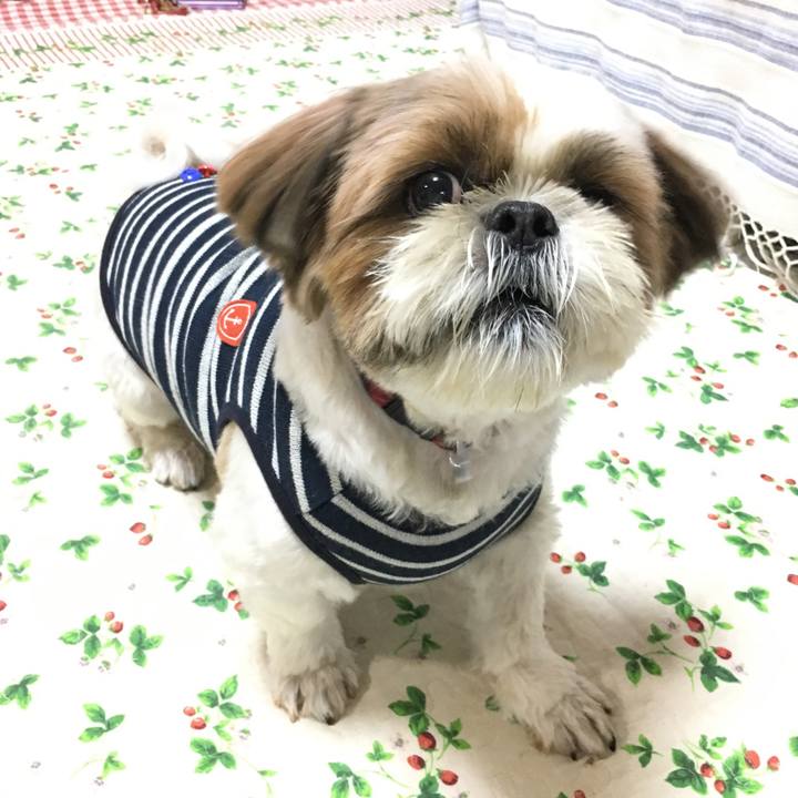 1bed8be8 27a7 4092 81ad 67a95ed25c6e 1508670224005