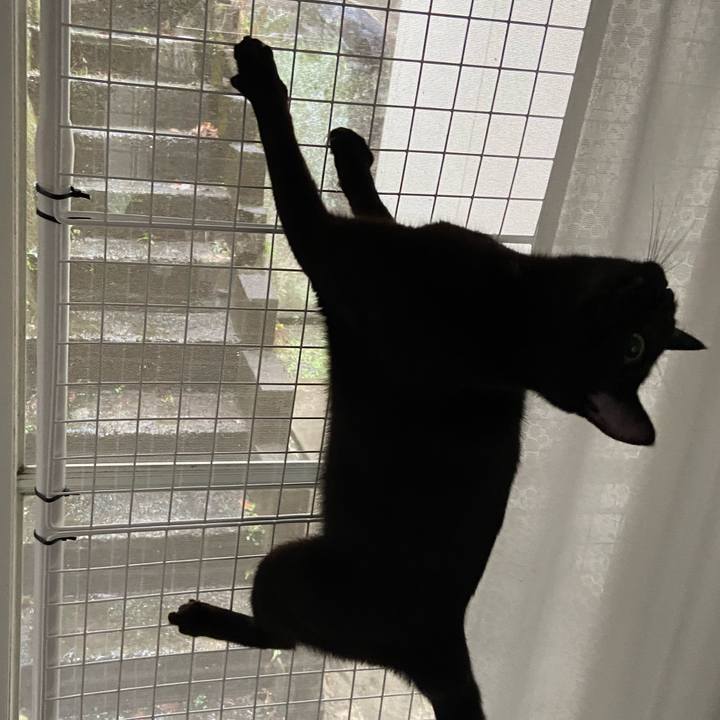 1bedb05b 4e58 4d3c 8272 6efc0606546b 1642929158441