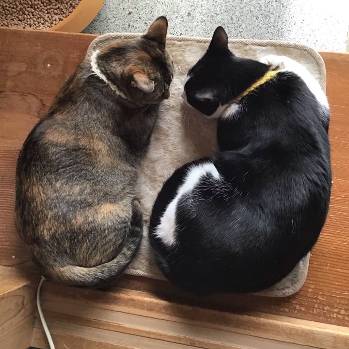 1bede097 7791 4834 96b6 07cabfa6d3f8 1647831675447