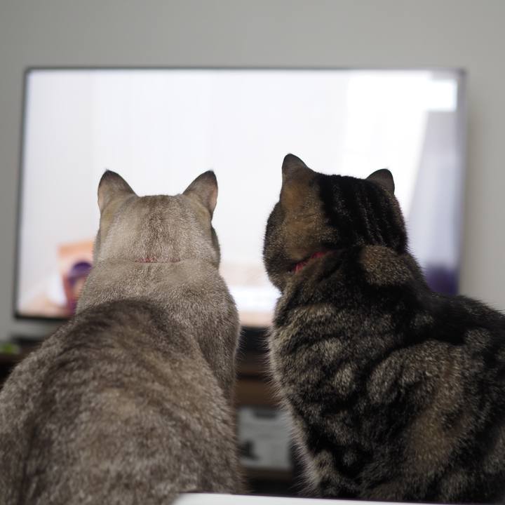 1bede5e5 a66f 4e67 90db 4dbc083438ee 1640944653095