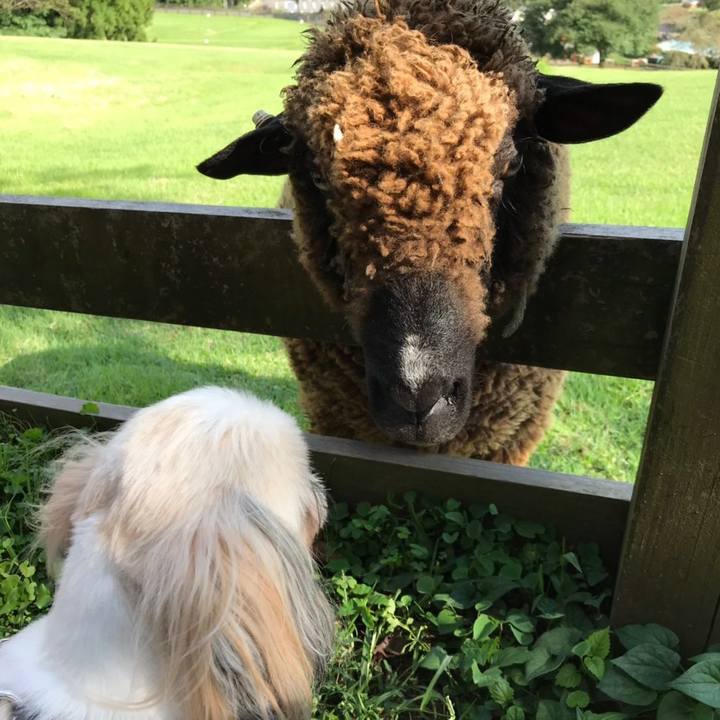 1bedf3cd ba45 44c3 9d65 a77eba2cd2cb 1567850256202