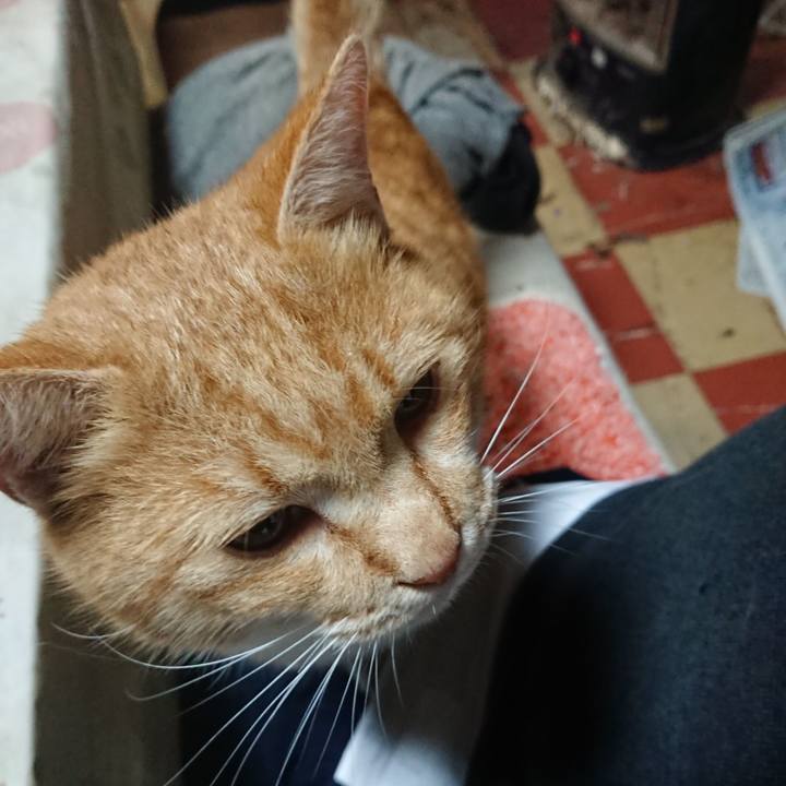 1bee4119 dfe8 4af9 bee8 26c94fc0dd40 1577354293221