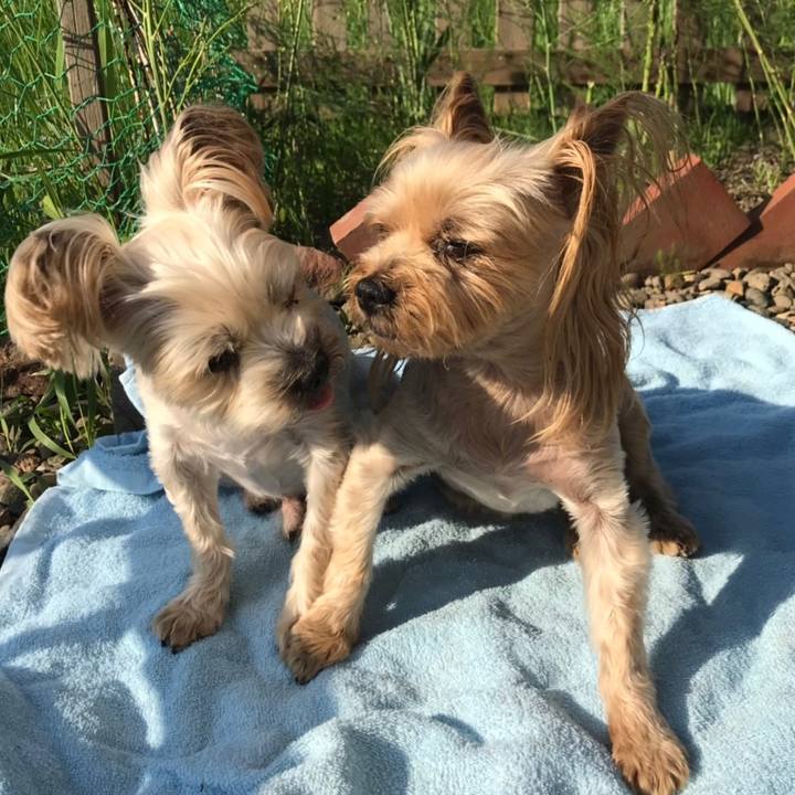 1bee4470 80b8 4492 a667 4d567067be96 1558946161050