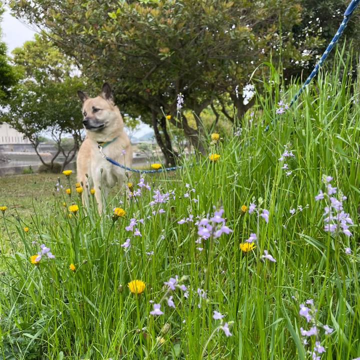 1bee4e16 1681 430b ba1e 97b96e118d63 1650713296863