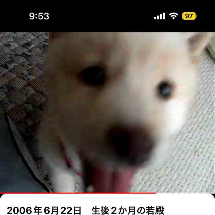 1bee4ef1 c5c9 4d71 abe0 c4b205363e00 1707267299581