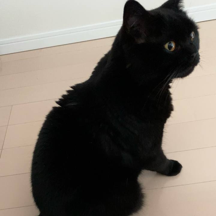 1bee5c9d 87bc 405a a188 b6a99722b863 1621805121980