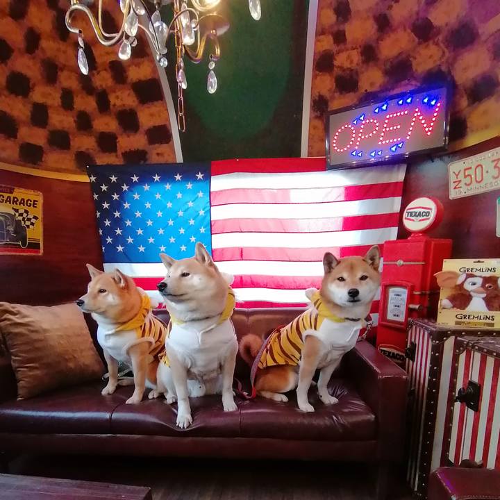 1bee7385 df87 4be8 b474 190f6319f7c4 1641805401872