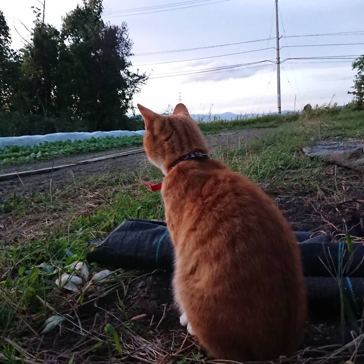 1bee835e 08a1 4196 94ad a56d8d8d8406 1569402368262