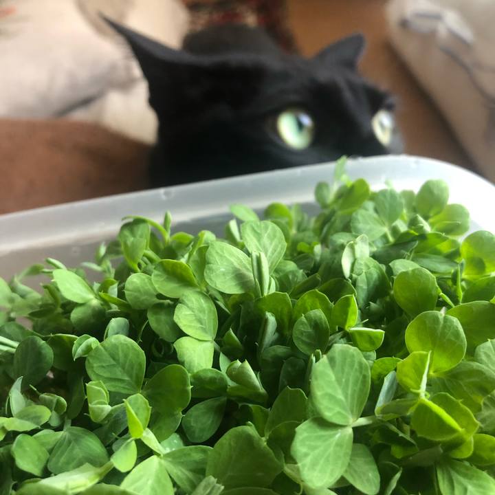 1beeb015 33de 4f4d babd a1a73c3cf9c6 1586479547088