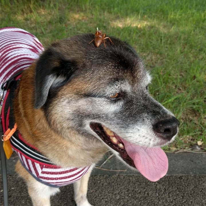 1beeb30c ae8c 4aab 8652 78c053c5f46a 1531785618004