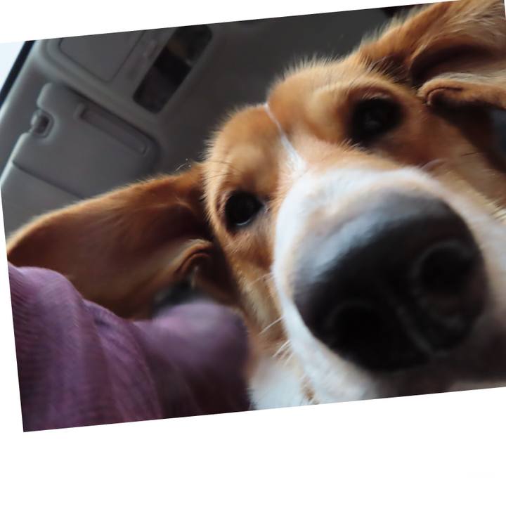 1beee48b 1fee 480a 86eb 43f0007131fa 1620270248144