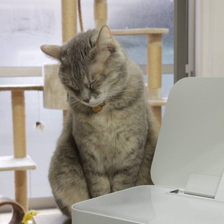 1bef0ef5 931c 4f7b a4a2 5956b7215e3b 1577420501376