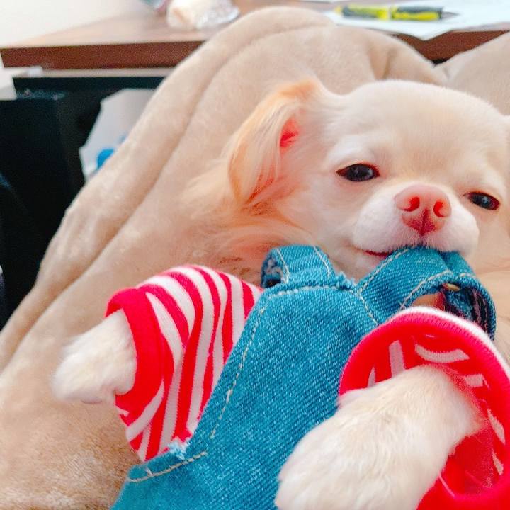 1bef310b 3355 4703 8f64 5a4cf792a77c 1628147053838