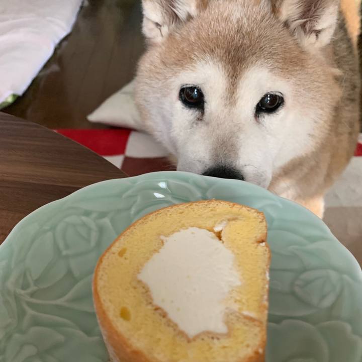 1bef36bd 37c6 4e9e 9001 20c31a4b00db 1656758247307