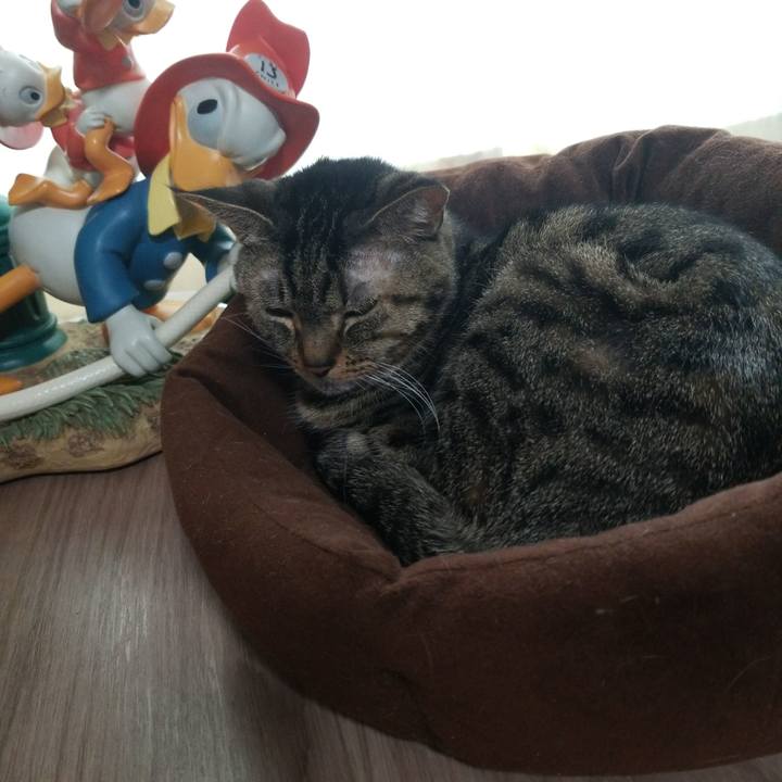 1bef46a6 a2a2 440f 92e2 4ae4e15aefce 1575674894364