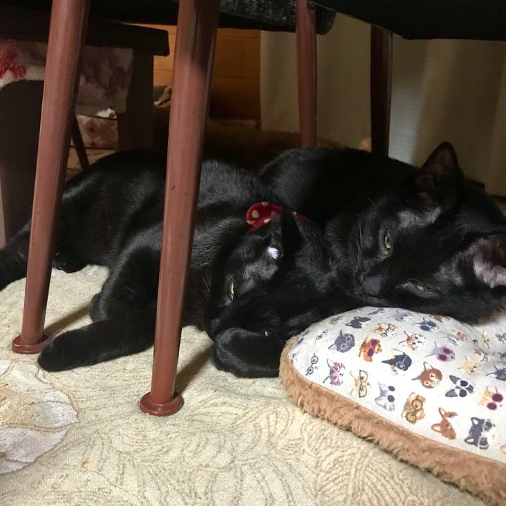 1bef71f0 f60f 4a5f b23e b12fdd7071a8 1547814355647