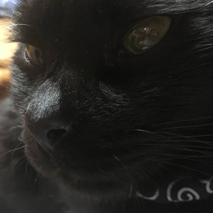 1bef9af5 9176 48d1 ae04 c10d958cdbc8 1549111246997