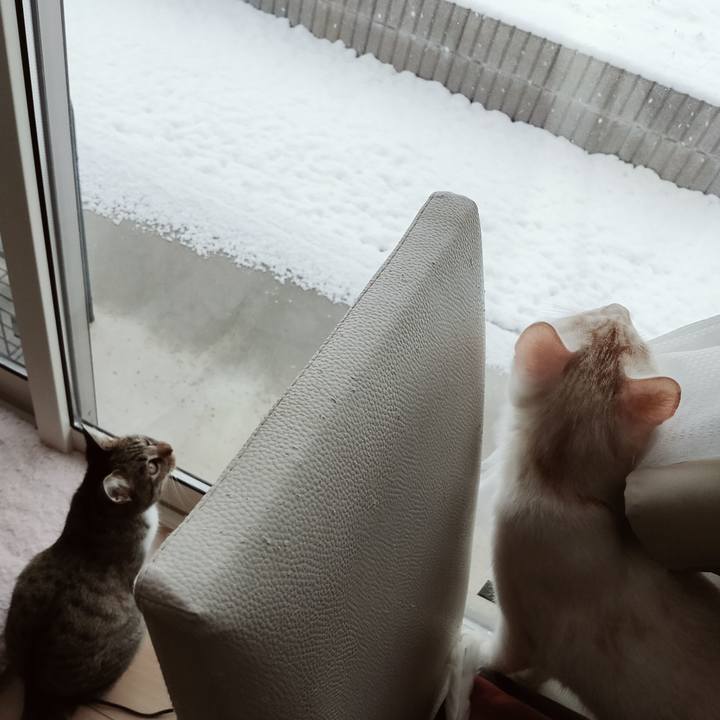 1befa712 607f 4a76 a52a 102a67728574 1642462579764