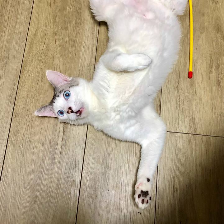 1befc424 fc76 44e1 b045 e7ee294efa2e 1595753372313