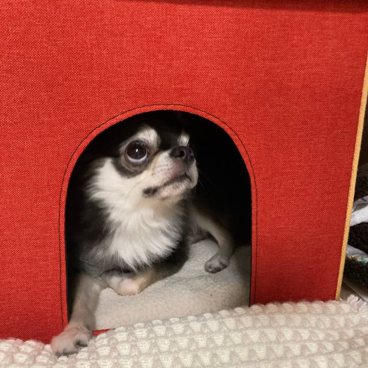 1befcf25 c035 412b b97b 231bd84d5a5d 1697987440871